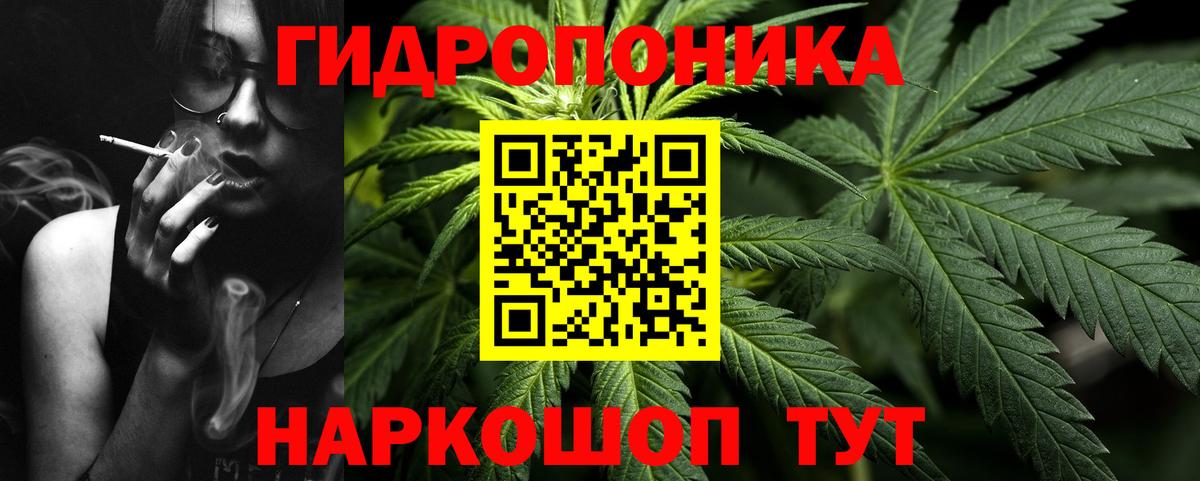 Бошки марихуана конопля Удомля